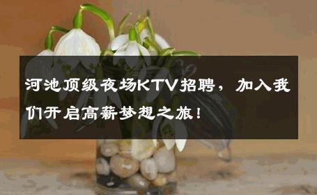 河池顶级夜场KTV招聘，加入我们开启高薪梦想之旅！