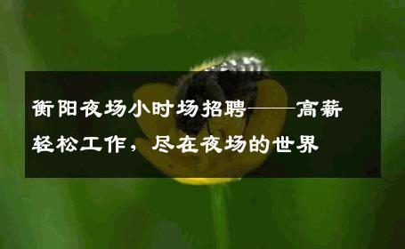 衡阳夜场小时场招聘——高薪轻松工作，尽在夜场的世界