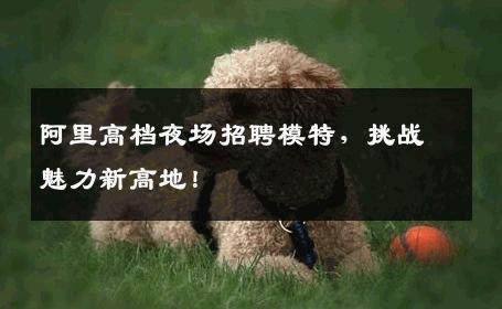 阿里高档夜场招聘模特，挑战魅力新高地！