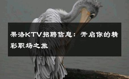 果洛KTV招聘信息：开启你的精彩职场之旅