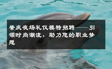 肇庆夜场礼仪模特招聘——引领时尚潮流，助力您的职业梦想