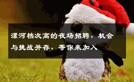 漯河档次高的夜场招聘，机会与挑战并存，等你来加入