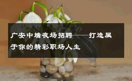 广安中端夜场招聘——打造属于你的精彩职场人生