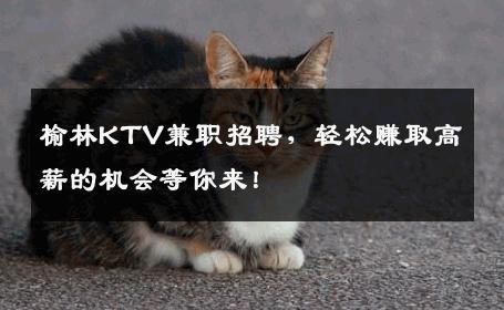 榆林KTV兼职招聘，轻松赚取高薪的机会等你来！