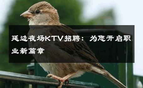 延边夜场KTV招聘：为您开启职业新篇章