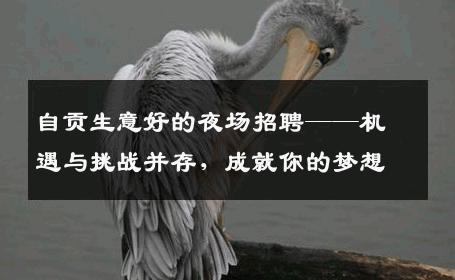 自贡生意好的夜场招聘——机遇与挑战并存，成就你的梦想