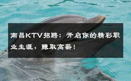 南昌KTV招聘：开启你的精彩职业生涯，赚取高薪！