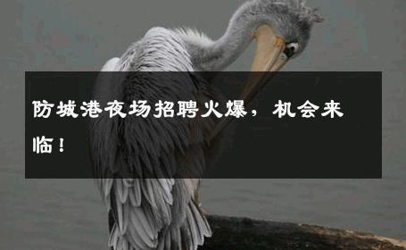 防城港夜场招聘火爆，机会来临！