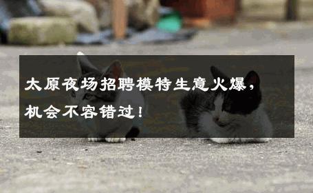 太原夜场招聘模特生意火爆，机会不容错过！