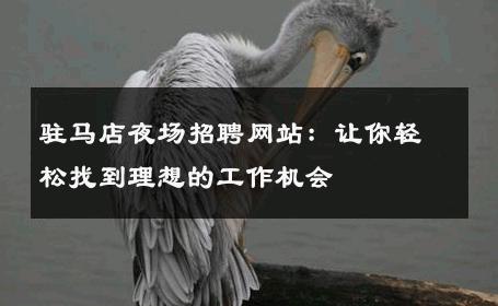 驻马店夜场招聘网站：让你轻松找到理想的工作机会
