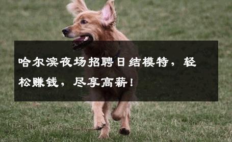 哈尔滨夜场招聘日结模特，轻松赚钱，尽享高薪！