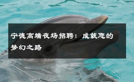 宁德高端夜场招聘：成就您的梦幻之路