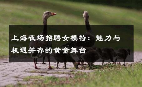 上海夜场招聘女模特：魅力与机遇并存的黄金舞台
