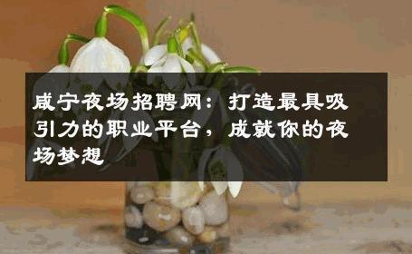 咸宁夜场招聘网：打造最具吸引力的职业平台，成就你的夜场梦想