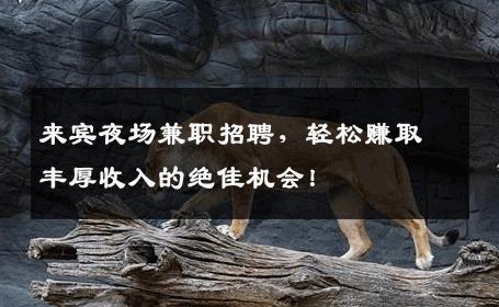 来宾夜场兼职招聘，轻松赚取丰厚收入的绝佳机会！