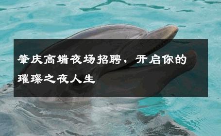 肇庆高端夜场招聘，开启你的璀璨之夜人生