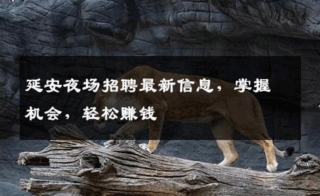 延安夜场招聘最新信息，掌握机会，轻松赚钱