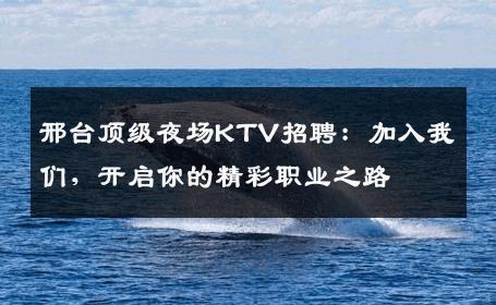 邢台顶级夜场KTV招聘：加入我们，开启你的精彩职业之路