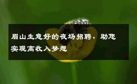 眉山生意好的夜场招聘，助您实现高收入梦想