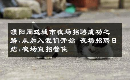 濮阳周边城市夜场招聘成功之路.从加入我们开始 夜场招聘日结,夜场直招管住