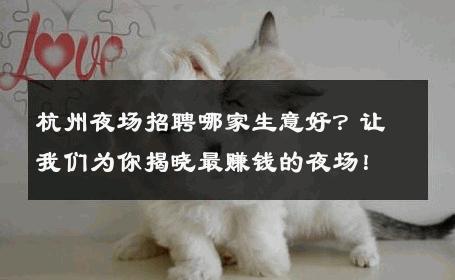 杭州夜场招聘哪家生意好？让我们为你揭晓最赚钱的夜场！