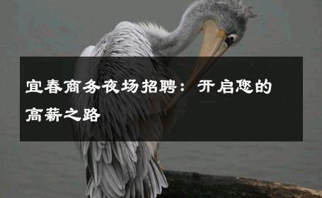 宜春商务夜场招聘：开启您的高薪之路