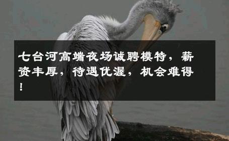 七台河高端夜场诚聘模特，薪资丰厚，待遇优渥，机会难得！