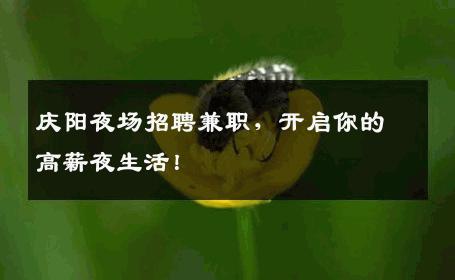 庆阳夜场招聘兼职，开启你的高薪夜生活！