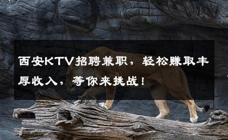 西安KTV招聘兼职，轻松赚取丰厚收入，等你来挑战！