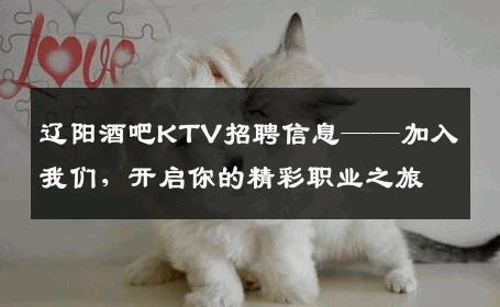 辽阳酒吧KTV招聘信息——加入我们，开启你的精彩职业之旅