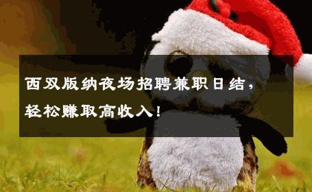 西双版纳夜场招聘兼职日结，轻松赚取高收入！
