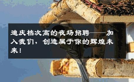 迪庆档次高的夜场招聘——加入我们，创造属于你的辉煌未来！