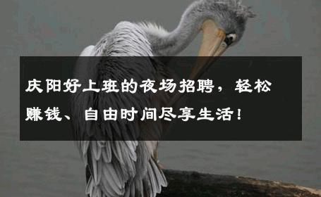 庆阳好上班的夜场招聘，轻松赚钱、自由时间尽享生活！