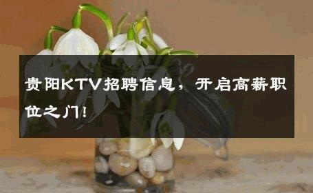 贵阳KTV招聘信息，开启高薪职位之门！