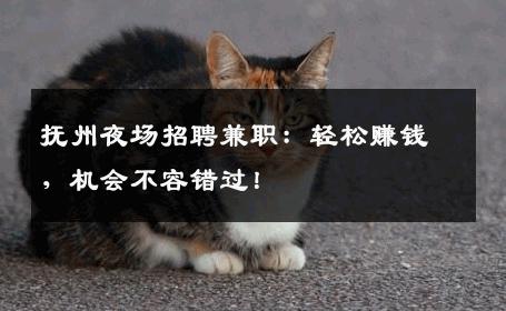抚州夜场招聘兼职：轻松赚钱，机会不容错过！