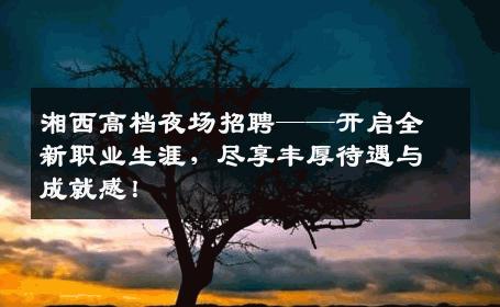 湘西高档夜场招聘——开启全新职业生涯，尽享丰厚待遇与成就感！