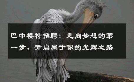 巴中模特招聘：走向梦想的第一步，开启属于你的光辉之路