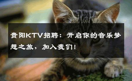 贵阳KTV招聘：开启你的音乐梦想之旅，加入我们！