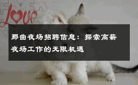 那曲夜场招聘信息：探索高薪夜场工作的无限机遇