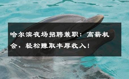 哈尔滨夜场招聘兼职：高薪机会，轻松赚取丰厚收入！
