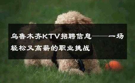 乌鲁木齐KTV招聘信息——一场轻松又高薪的职业挑战