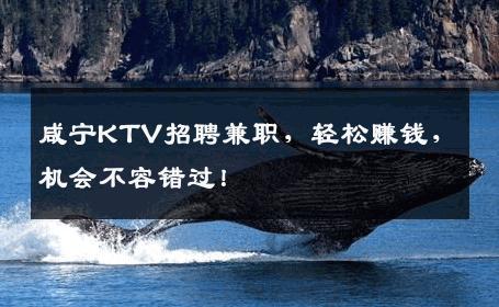 咸宁KTV招聘兼职，轻松赚钱，机会不容错过！