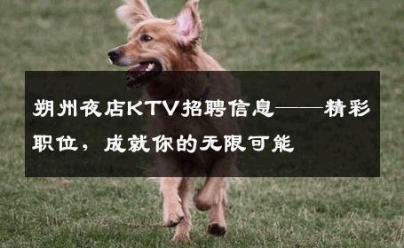 朔州夜店KTV招聘信息——精彩职位，成就你的无限可能