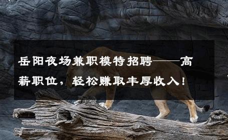 岳阳夜场兼职模特招聘——高薪职位，轻松赚取丰厚收入！