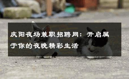 庆阳夜场兼职招聘网：开启属于你的夜晚精彩生活