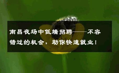 南昌夜场中低端招聘——不容错过的机会，助你快速就业！