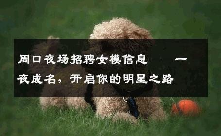周口夜场招聘女模信息——一夜成名，开启你的明星之路