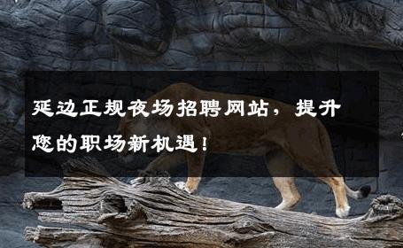 延边正规夜场招聘网站，提升您的职场新机遇！