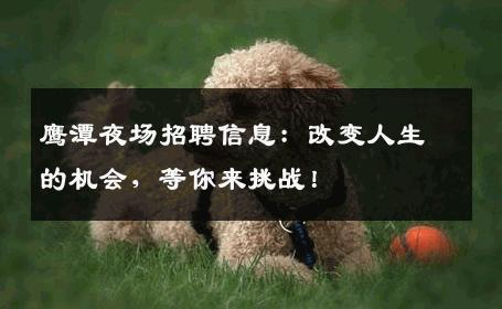 鹰潭夜场招聘信息：改变人生的机会，等你来挑战！