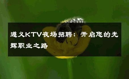 遵义KTV夜场招聘：开启您的光辉职业之路